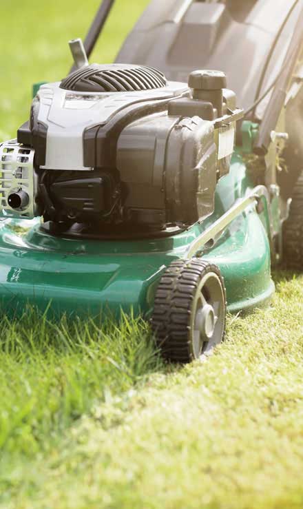 Mullins Turf And Lawn Care LLC Residential Lawn Mowing